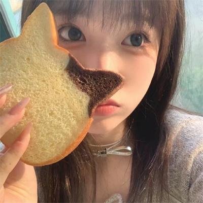 凤姐海报