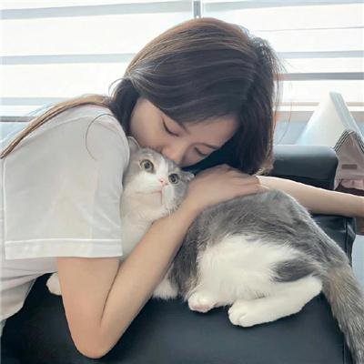 静静的白桦林海报